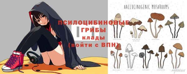 гидра Нязепетровск