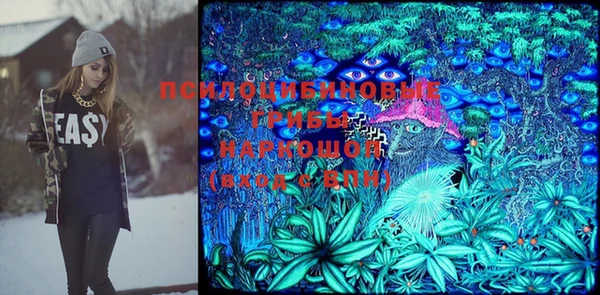 мдма Киреевск