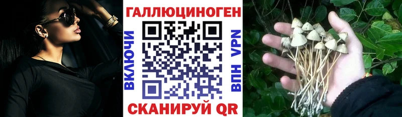 купить наркоту гидра маркетплейс Псилоцибиновые грибы мицелий Котельнич